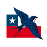 Golondrinas Chile